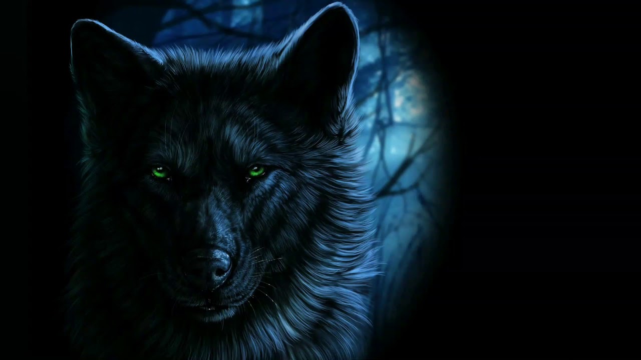 Loodus pildid HUNDID 1.osa