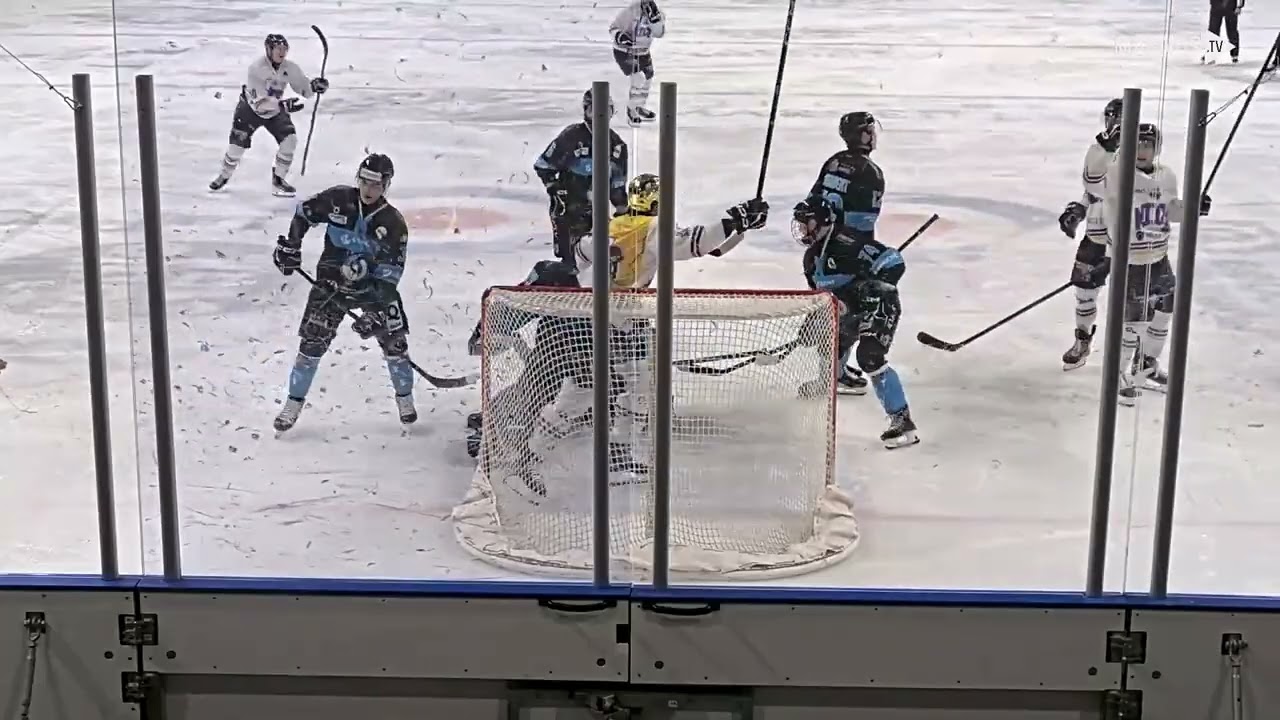 FRA – ICE HOCKEY Ligue Magnus J39 - S25/26 Marseille VS Nice [MAGNUS.TV]-(2026/02/19) Score 4 - 7