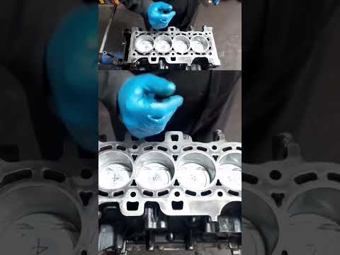 بيقولك بلاش تحط جملكة طيب ليه   طارق الطيب