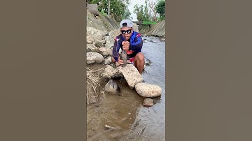 Cá Lớn - bắt Cá Lau Kính mắc kẹt dưới đá 😱 #khacthuyvlogg