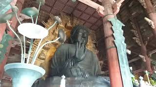 Японская мозаика. Нара: самый большой в мире бронзовый Будда
