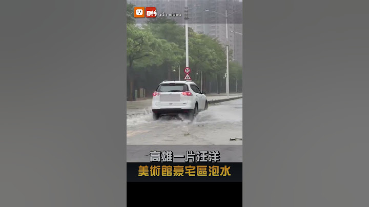 高雄馬路變黃河 美術館豪宅區泡水