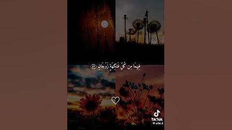 سورة الرحمن بصوت جميل جدا (الشيخ ماهر المعيقلي)