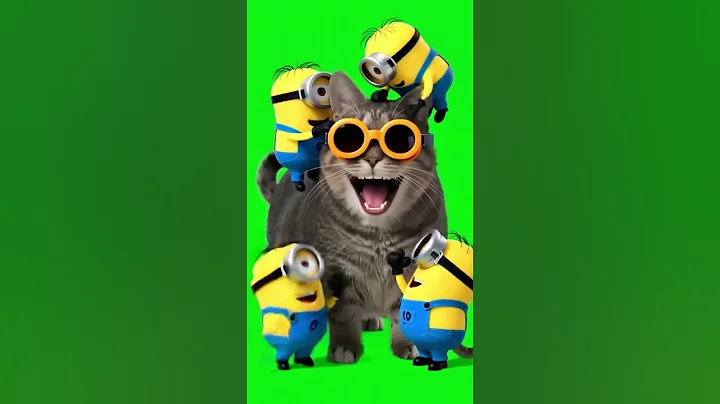 Spinning Cat Attracts EVERYTHING🐱#OIIAOIIA #cat💫#PixVerse #hailuoai🔔#subscribe