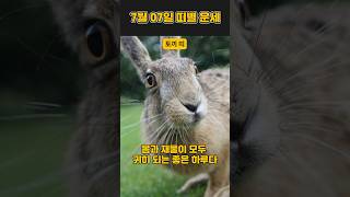 2024년 7월 7일 일요일 띠별 운세 #오늘운세 #내일운세 #띠운세