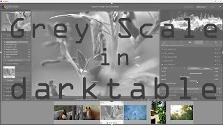 How to convert color photos to black and white monochrome, true greyscale images  Profile
