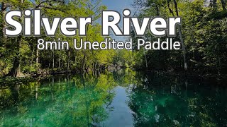 8m Uncut Float Down Silver River - Silver Springs State Park