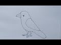 How to draw crow drawing easy step by stepkids drawing talent