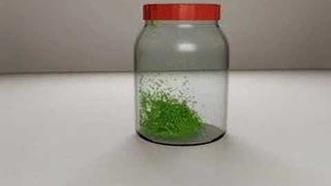 realflow test animation max maya c4d