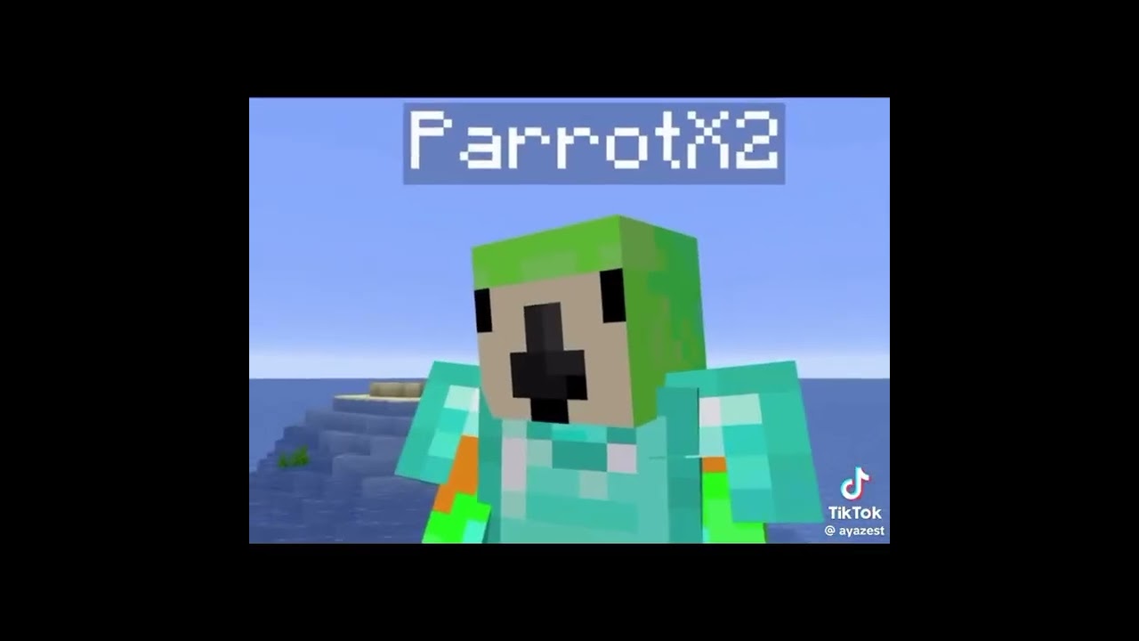 Clips of Unstable SMP shout out to all the owners of the vids