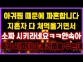 [역대급 사이다 사연] 아귀찜 때문에 파혼합니다 지혼자 다먹을거면서 소짜 시키라네요ㅋㅋ 중짜 시켰더니 게거품을 무는데 사연모음 이혼썰 네이트판 레전드 사연라디오 결시친 실화사연