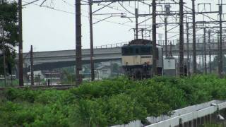2010-06-11 [東北本線] EF64 1016, 単機5585 & E231系, 普通534M