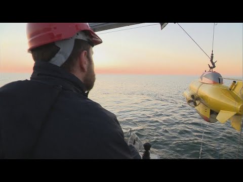 Les câbles sous-marins, cibles de toutes les convoitises