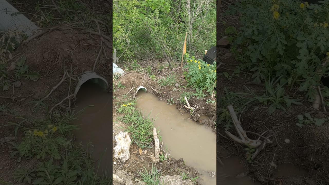 Ditch Switch Scandal: Applewood’s Irrigation Gets a Developer’s Demotion!