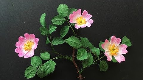 ABC TV | How To Make Wild Rose Paper Flower From Crepe Paper - Craft Tutorial