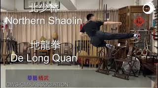 北少林-地龍拳 Northern Shaolin - De Long Quan