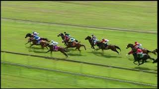 Vidéo de la course PMU PRIX LIVE RACING COMMENTARY AVAILABLE ON 0313621101 MAIDEN PLATE