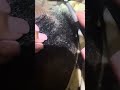Huge Beard Flakes 