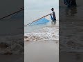 nelayan mencari udang ebi
