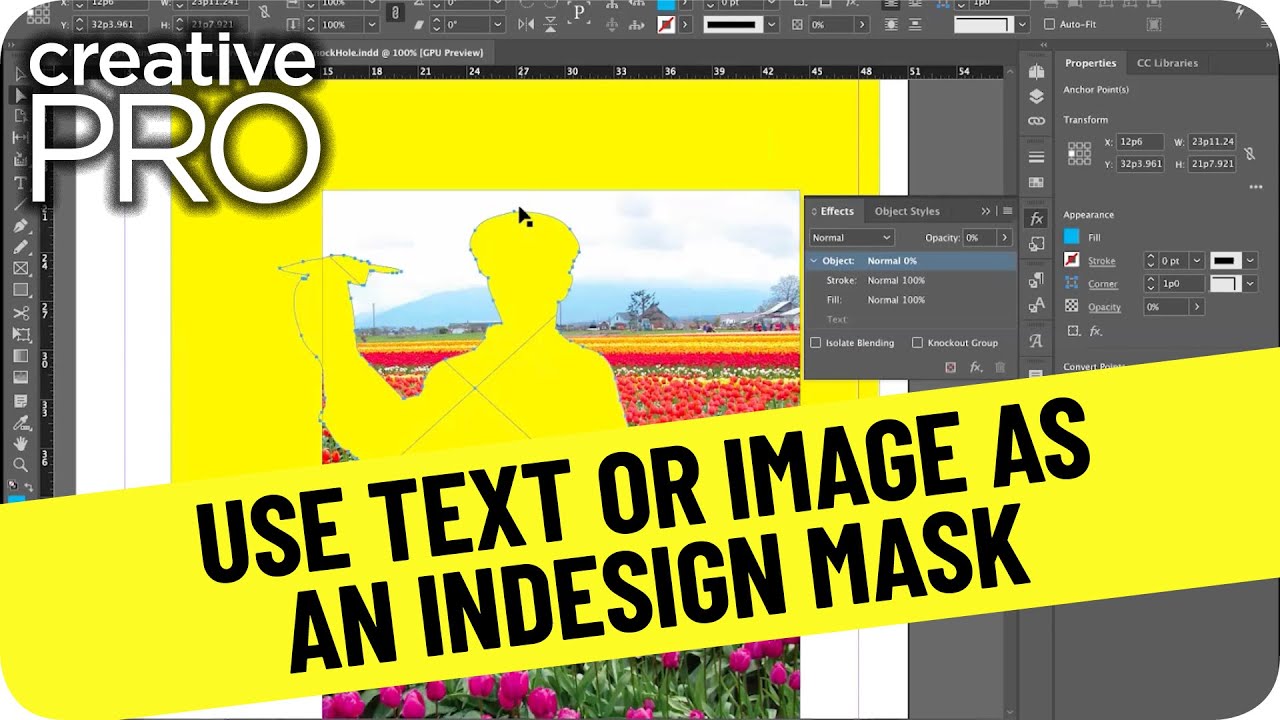 Using Text or an Image as an InDesign Mask ft. David Blatner