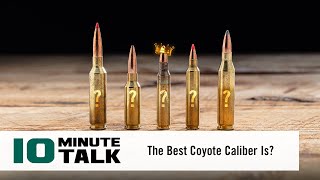 #10MinuteTalk  The Best Coyote Caliber Is?