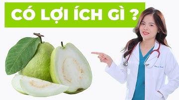 Ăn ổi có tác dụng gì? Những lợi ích không ngờ đến từ loại trái cây dân dã | Dr Thùy Dung