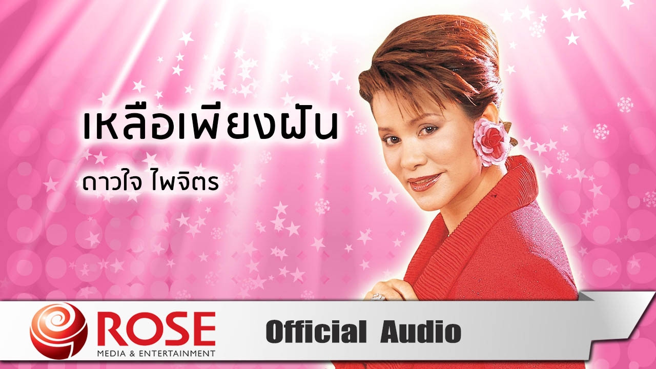 เหลือเพียงฝัน - ดาวใจ ไพจิตร (Official Audio)