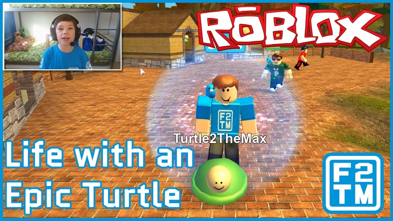 Roblox Life With An Epic Turtle Youtube - ball is life roblox