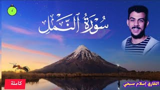 القارئ اسلام صبحي 🎙️🐜 سورة النمل صوت الجميل 🌼