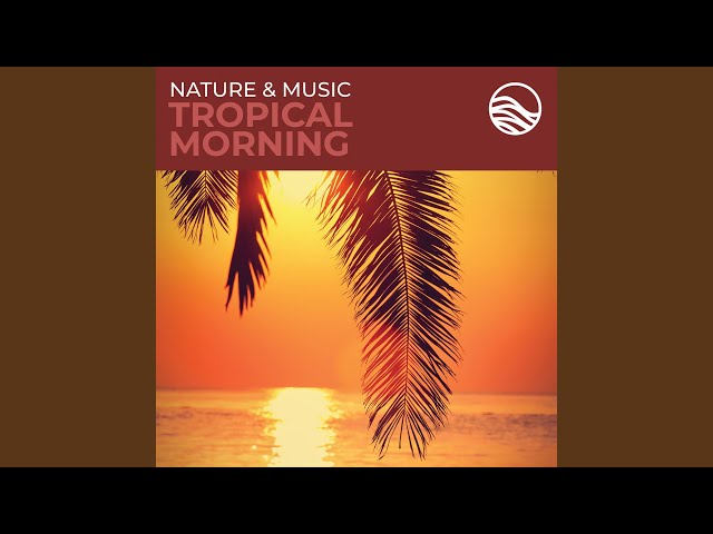 David Arkenstone - Tropical Morning