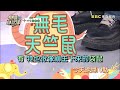 【小姐不熙娣】寵物也有江湖在走？ 牠們靠這項稱霸武林？！EP820 預告｜週一至週五晚間10點 東森綜合32頻道