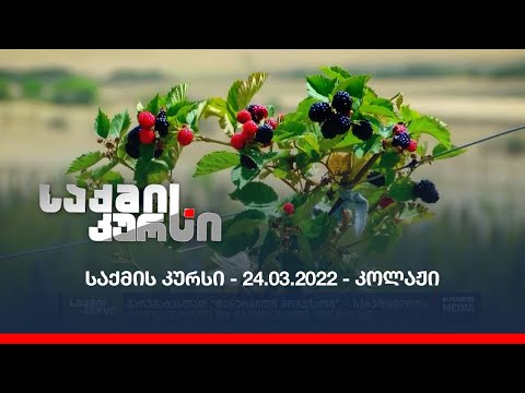 საქმის კურსი - 24.03.2022 - კოლაჟი