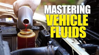 Mastering Vehicle Fluids | A Comprehensive Guide To Checking And Filling