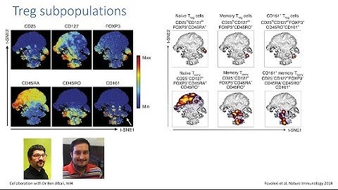 Webinar - How Deep Can You Go? Uncovering Hidden Cell Populations with Machine Learning