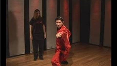 Kung Fu : Tan Tui Sleeve Block Reverse Punch