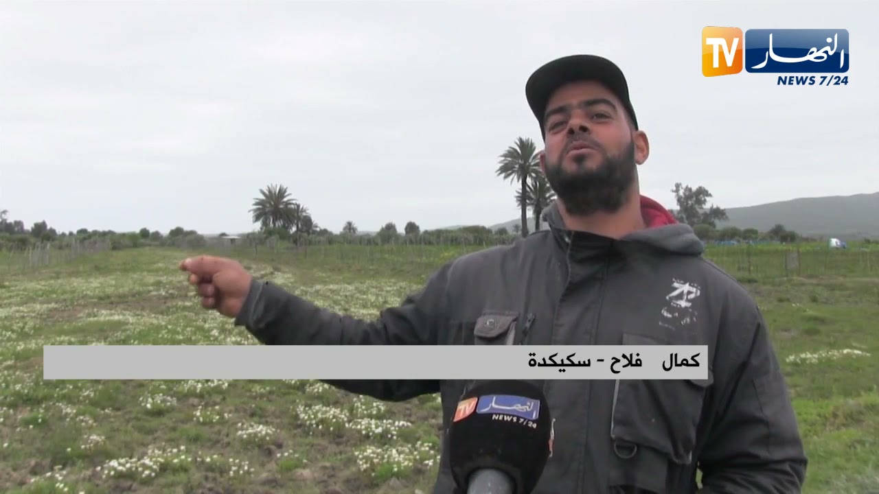 سكيكدة: فلاحون يخاطرون للوصول إلى حقولهم ببن عزوز لإنعدام المسالك الفلاحية