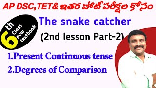 Ap state 6th class new english text book| 2nd lesson|the snake catcher|Grammar@Murthysir