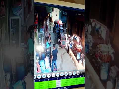 الشقر مركز كفر شكر قليوبية