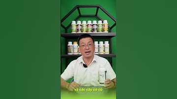 Bacte Đen Loại Trừ Tuyến Trùng, Đánh Bay Sùng Hà