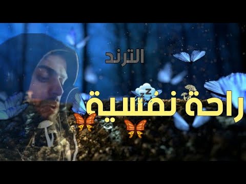 فيديو: شقة صغيرة ومريحة القارئ في كلوج نابوكا ، رومانيا