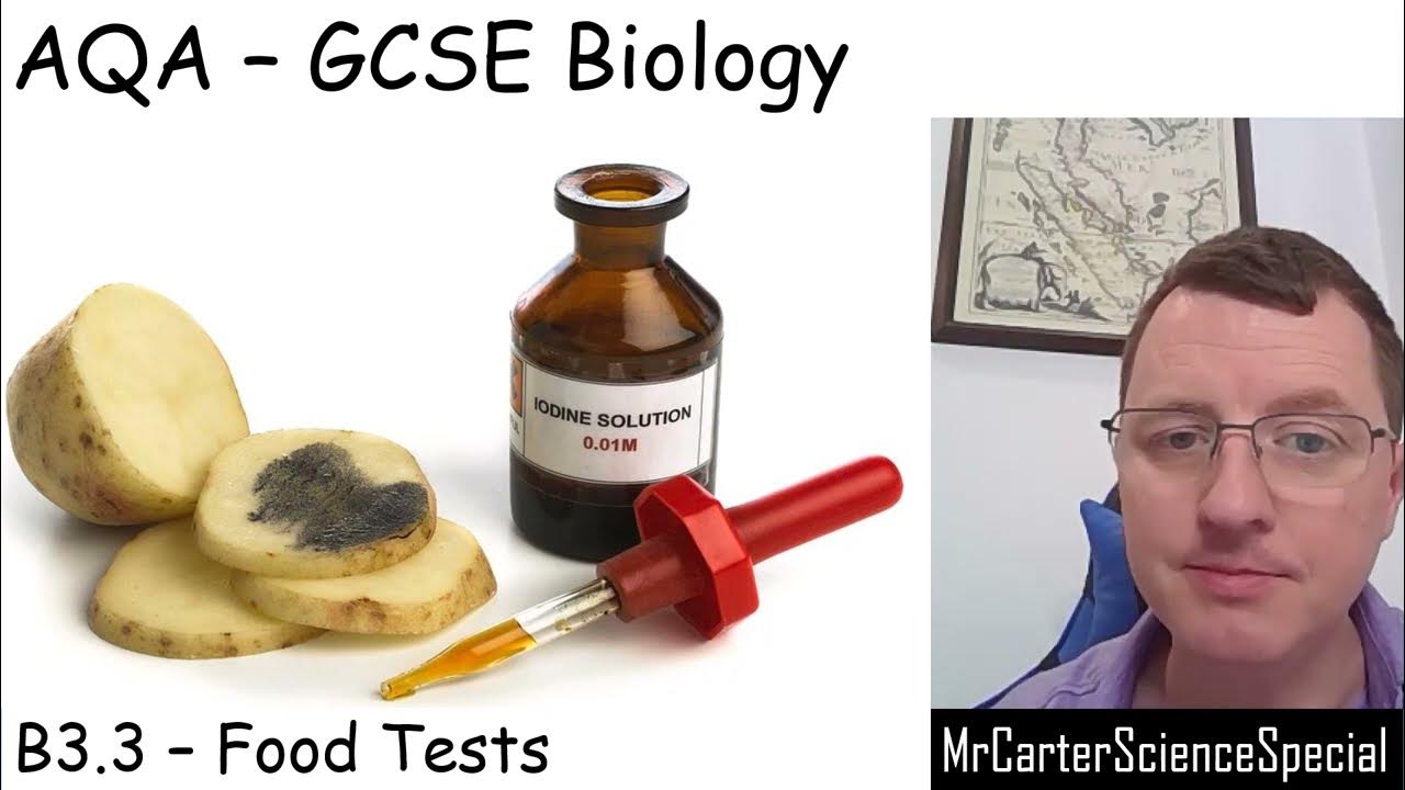 B3 3 food tests aqa biology gcse 9 1 youtube