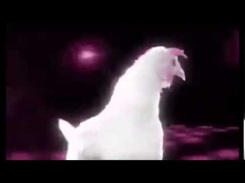 Download Chicken Fried Ringtone - Uncategorized