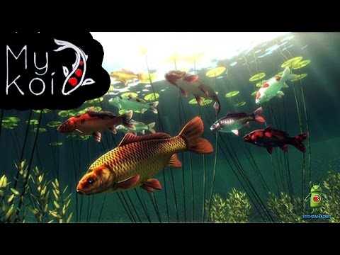 My Koi (iOS/Android) Gameplay HD