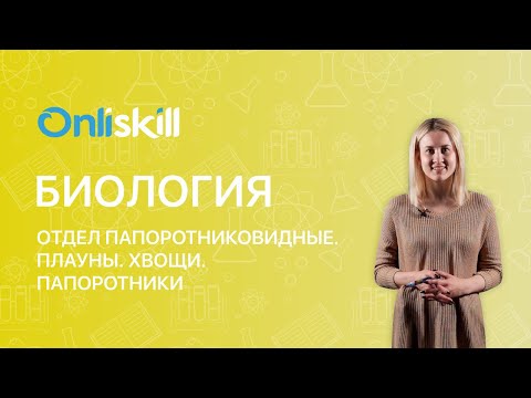 БИОЛОГИЯ 6 класс: Отдел Папоротниковидные. Плауны. Хвощи. Папоротники