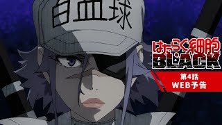 TVアニメ『はたらく細胞BLACK』第4話「最前線、淋菌、葛藤。」WEB予告│2021年1月18日放送