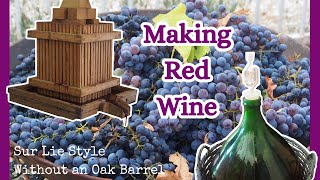 Vine to Bottle  Harvesting Grapes and Making Red Wine