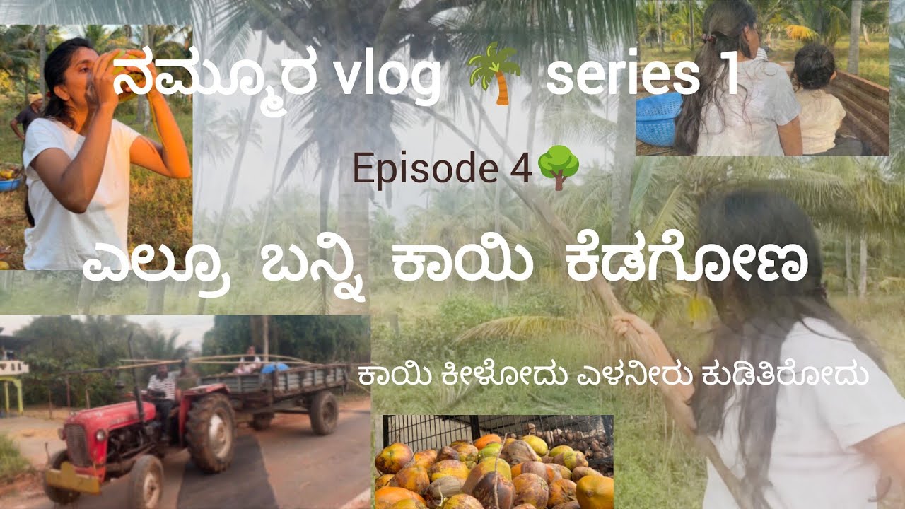 ನಮ್ಮೂರ vlog 🌴 series 1|episode 4| #village #villagelifestyle #coconut 