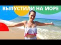 ИЗРАИЛЬ ВЫХОДИТ ИЗ КАРАНТИНА // Израиль открывает границы?