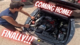 Frustration, satisfaction, elation, and a PROCHARGED Mustang!