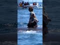 Detik-detik seorang wanita diselamatkan seekor ikan paus #ai #fyp